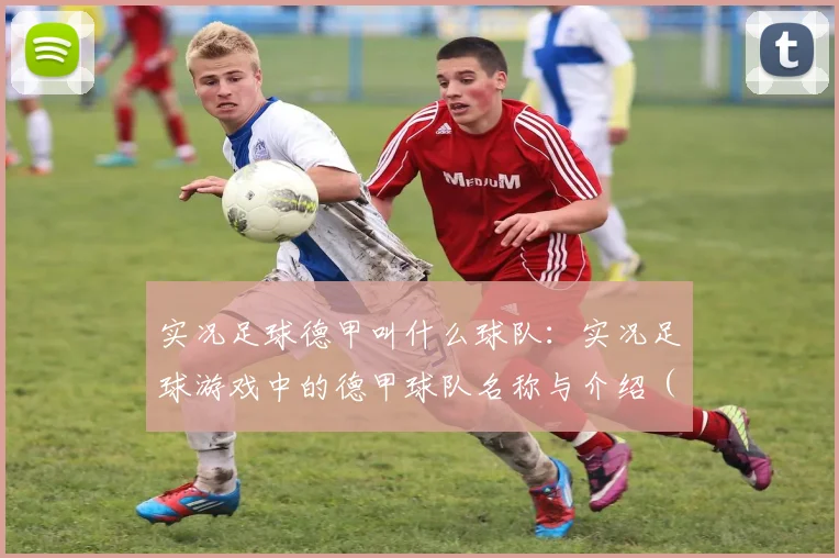 实况足球德甲叫什么球队:实况足球游戏中的德甲球队名称与介绍 (2)