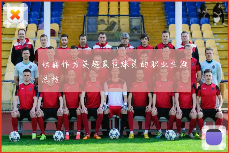 切赫作为英超最佳球员的职业生涯总结