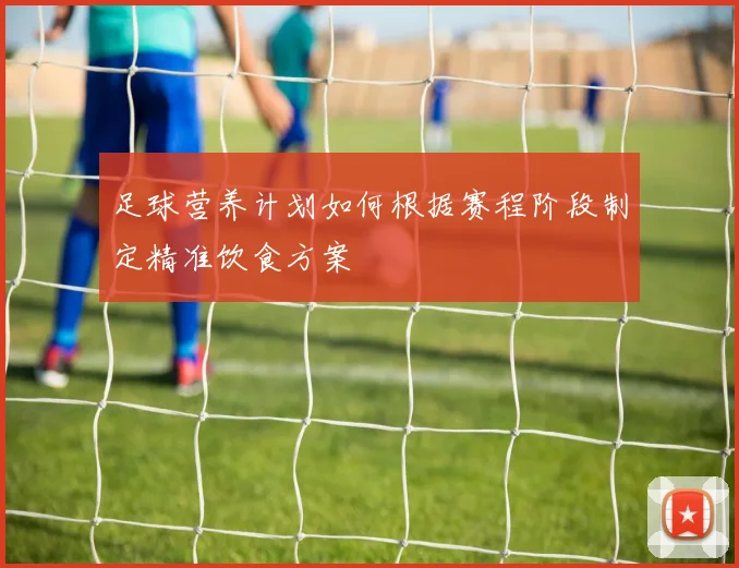 足球营养计划如何根据赛程阶段制定精准饮食方案