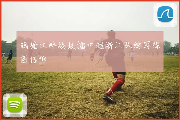 钱塘江畔战鼓擂中超浙江队续写绿茵信仰