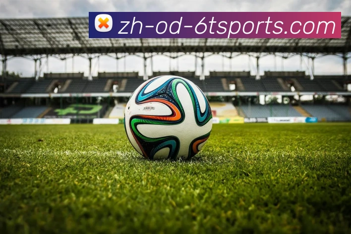 6T体育平台生态图