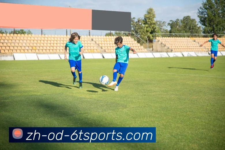 6T体育APP 封面图